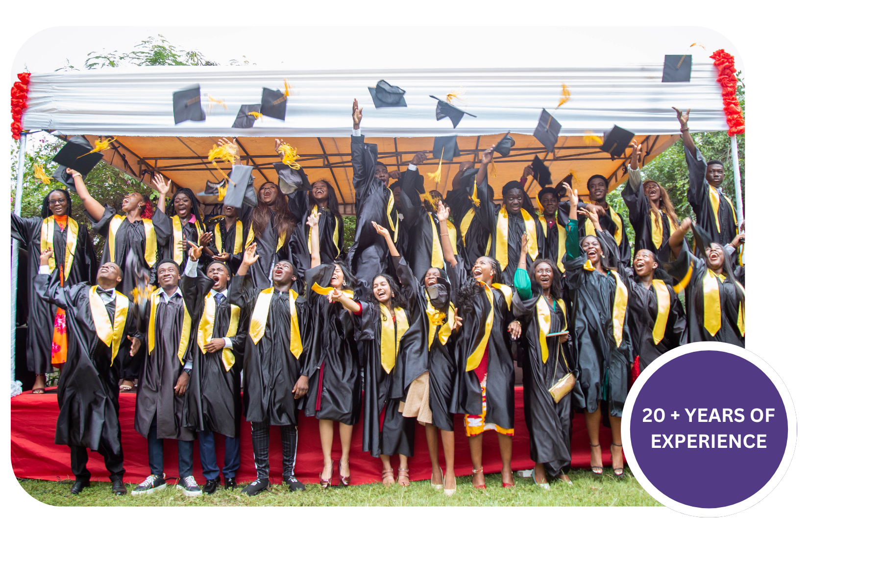 20 + YEARS OF EXPERIENCE