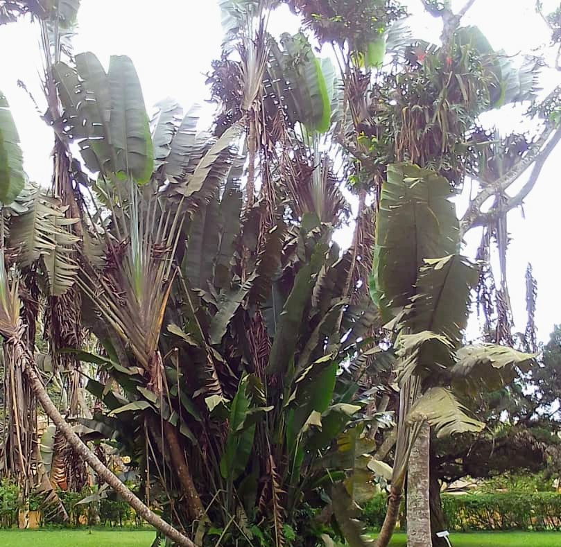 IMG-20251020-WA0011~2